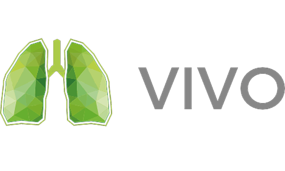 Vivo-Ambulante-Pflegedienst Logo