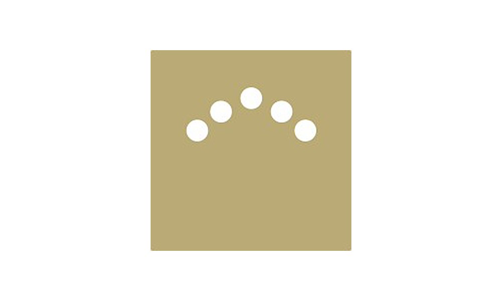 perpetual-investors Logo